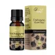 Herbys fokhagyma fűszercsepp 10 ml