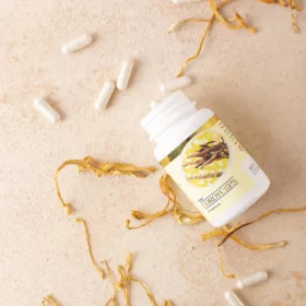 DXN Cordyceps hernyógomba kapszula 60 db