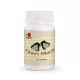 DXN Lion's Mane tabletta – oroszlánsörény gomba 120 db