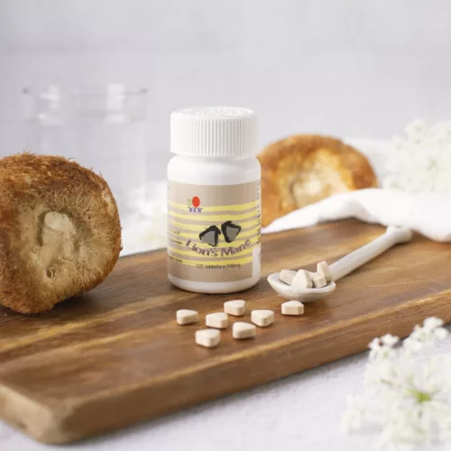 DXN Lion's Mane tabletta – oroszlánsörény gomba 120 db