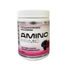 Amino Primo instant aminosav italpor- erdei gyümölcs 360g