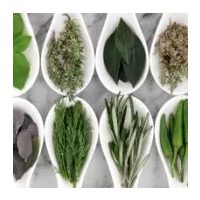 Gyógyhatású készítmények