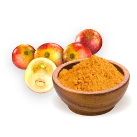 BioMenü BIO CAMU CAMU por 60 g