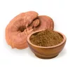 BioMenü BIO GANODERMA gombapor 100 g