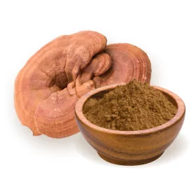 BioMenü BIO GANODERMA gombapor 100 g