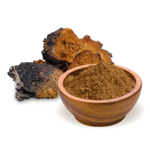 BioMenü BIO CHAGA gombapor 100 g