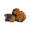 BioMenü BIO CHAGA gomba kapszula 60 db