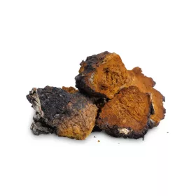 BioMenü BIO CHAGA gomba kapszula 60 db