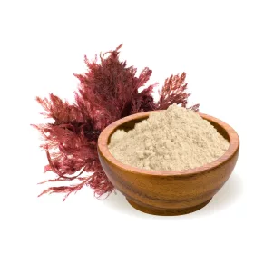 BioMenü BIO AGARAGAR por 60 g