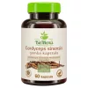 BioMenü BIO CORDYCEPS sinensis gomba kapszula 60 db