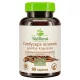 BioMenü BIO CORDYCEPS sinensis gomba kapszula 60 db