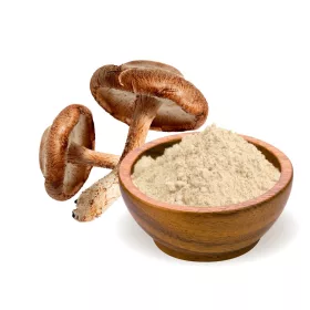 BioMenü BIO SHIITAKE gomba kapszula 60 db