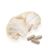 BioMenü BIO SÜNGOMBA kapszula 60 db
