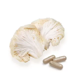 BioMenü BIO SÜNGOMBA kapszula 60 db