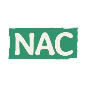 Caleido NAC N-acetil-L-cisztein kapszula 60 db