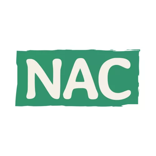 Caleido NAC N-acetil-L-cisztein kapszula 60 db